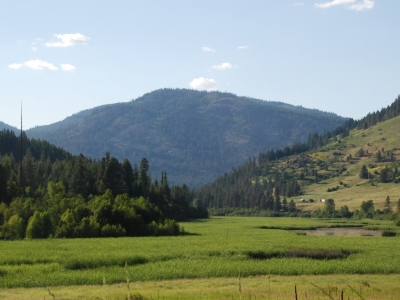 Dollar Mountain