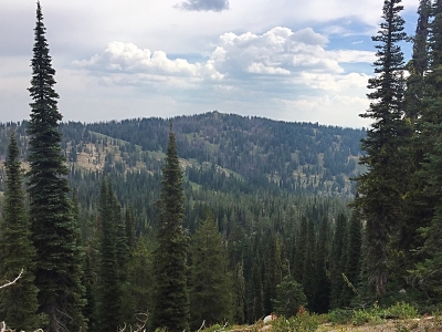 Pilot Peak