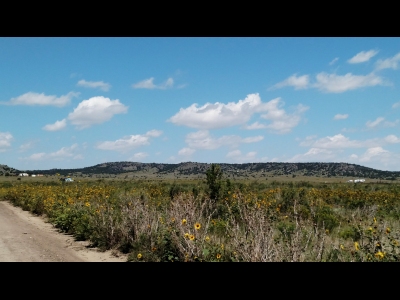 Black Hills