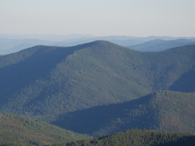 Scalawag Ridge