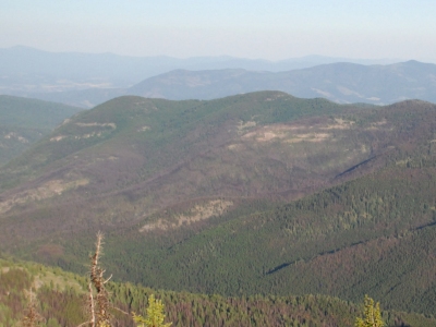 Coyote Mountain