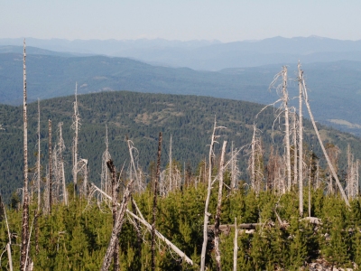 Grouse Mountain