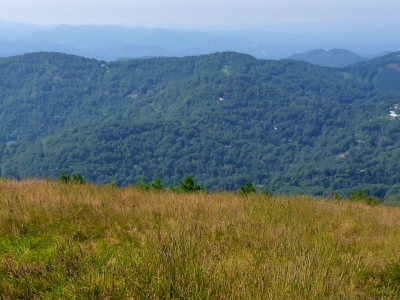 Upper Haw Knob