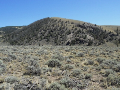 Deer Hill