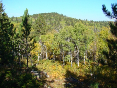 Old Baldy Mountain