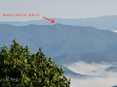 Wauchecha Bald