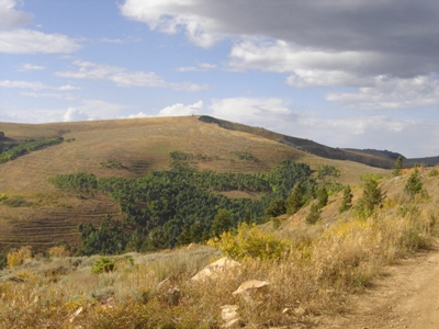 Jacks Peak
