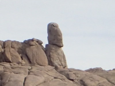 "Easter Island Man"