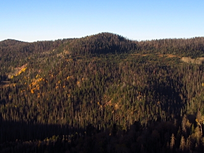 Bear Mountain