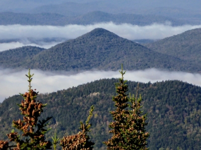Cedar Mountain