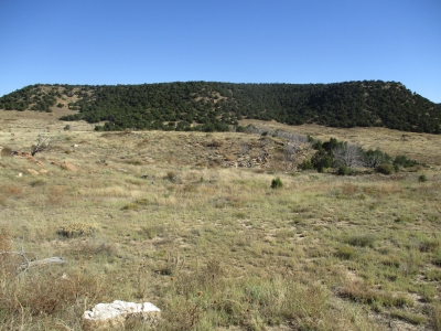 Nelson Hill