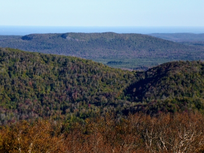 Cat Hill