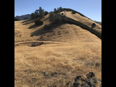 Olofson Ridge