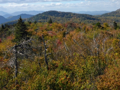 Carl Mountain