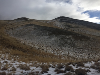 Cold Springs Mountain