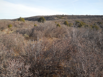 Dick Ridge