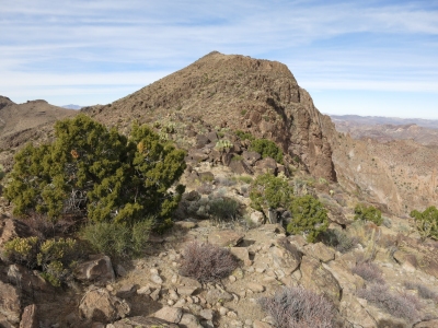 Nutt Benchmark