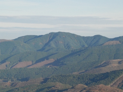 Pacific County HP