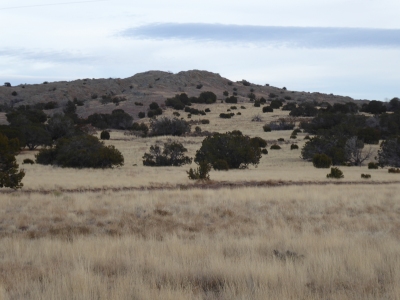 Cerrito Viejo
