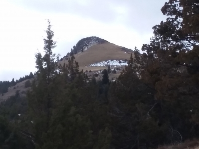 Little Sugar Loaf