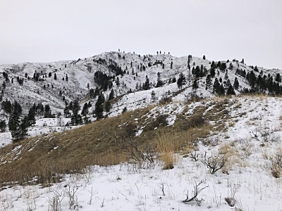 "Bender Peak"