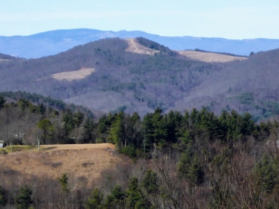 Cheek Mountain