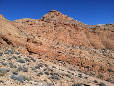 San Juan Hill