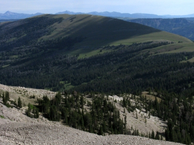 Shedhorn Mountain