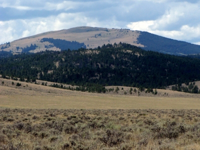 Edward Mountain
