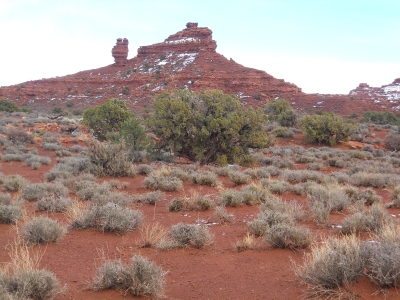 Sheep Canyon Rock