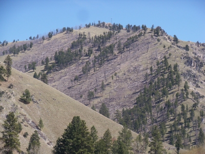 Sula Peak