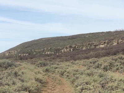 Buckwater Ridge