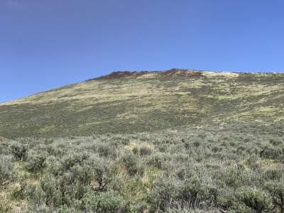 Twin Peaks, West
