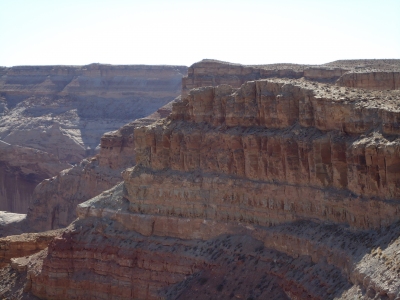 Lone Tree Wedge