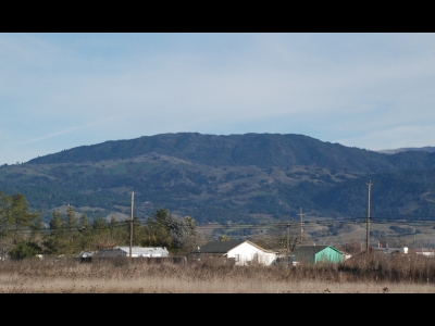 Black Mountain