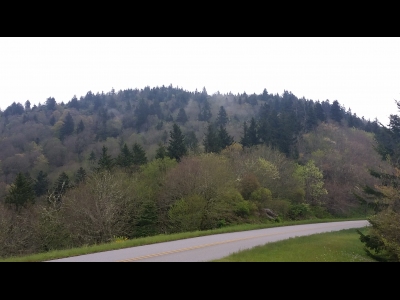 Spruce Ridge