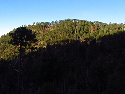 "Buckskin Peak"