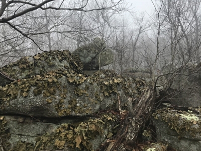 Savage Mountain