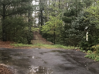 Rutledge Mountain