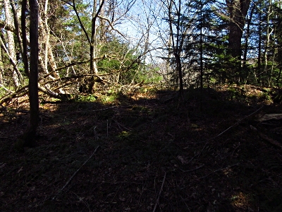 Brush Fence Ridge