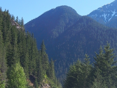 "Rhode Point"