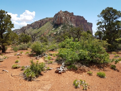 Saddle Mountain
