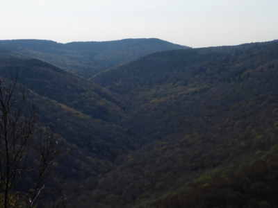 Gauley Mountain
