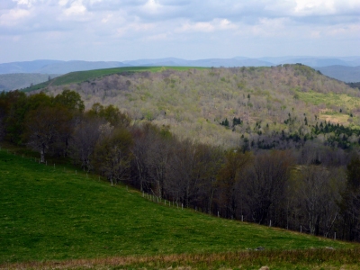 Harper Knob