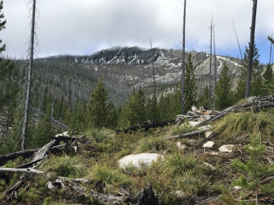 Steamboat Benchmark