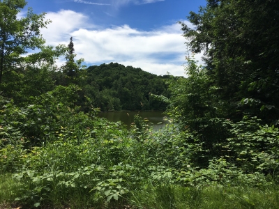 Pearson Hill