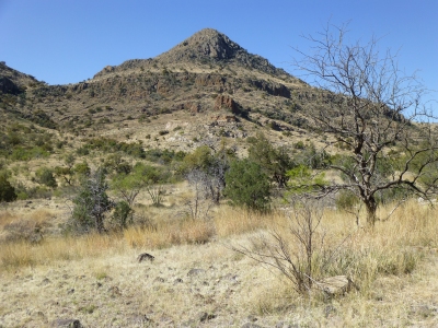 Grosvenor Hills