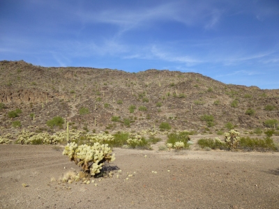Crater Benchmark