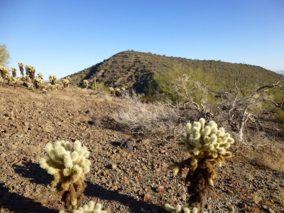 Indian Butte