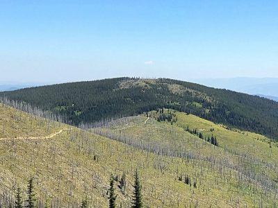 "Wallis Peak"